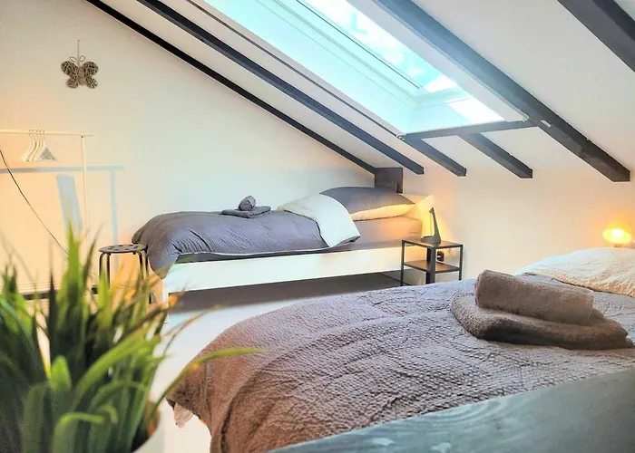 Cozy & Modern 4 Flat Near Hanau