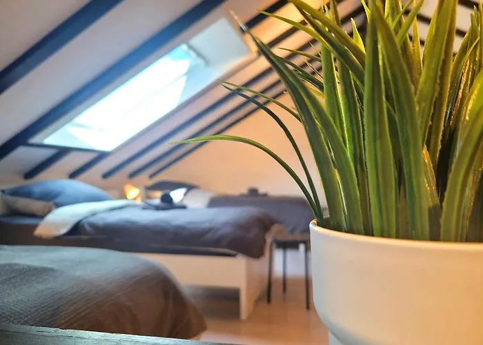 Cozy & Modern 4 Flat Near Hanau